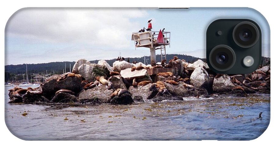 California iPhone Case featuring the photograph Monterey Bay by Jillian Goodger
