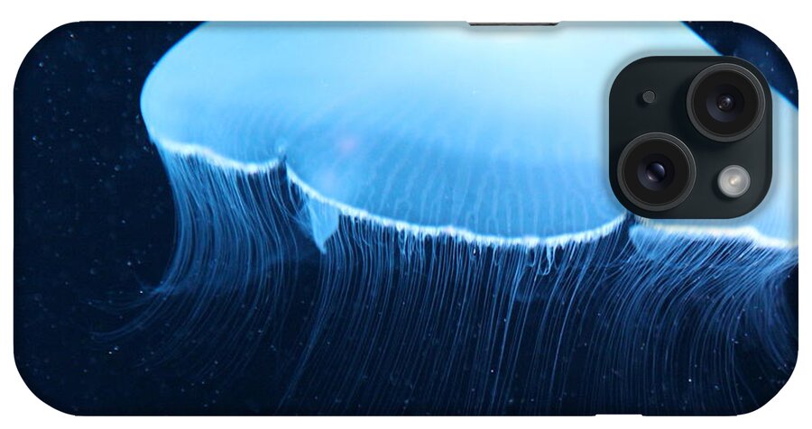 Jelly Fish iPhone Case featuring the photograph Moon Jelly Fish 1 by Silpa Saseendran