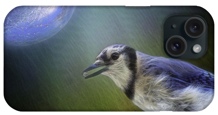 Bluejay iPhone Case featuring the photograph Moon Jewel Thief by Mary Clough