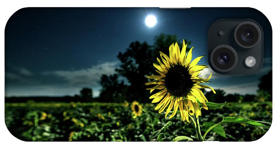 Sunflower iPhone Case featuring the photograph Moonlighting Sunflower by Everet Regal
