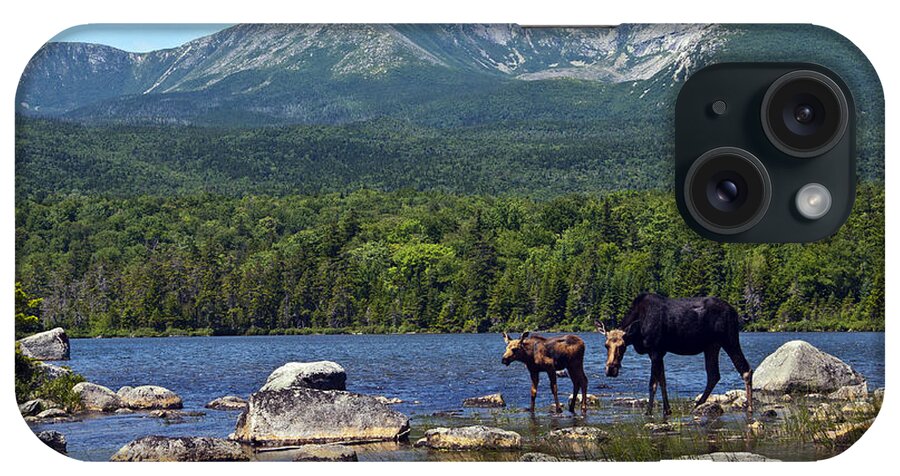 Maine iPhone Case featuring the photograph Moose Baxter State Park Maine 2 by Glenn Gordon