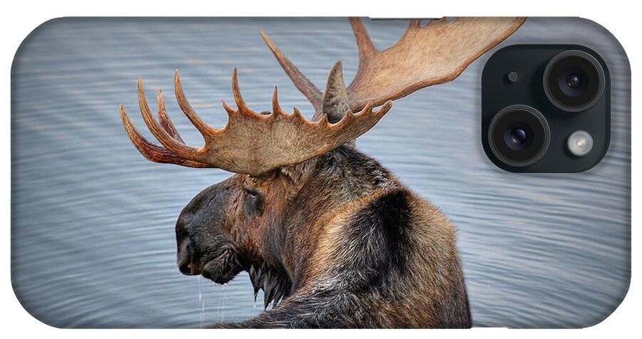 Moose iPhone Case featuring the photograph Moose Drool by Ryan Smith