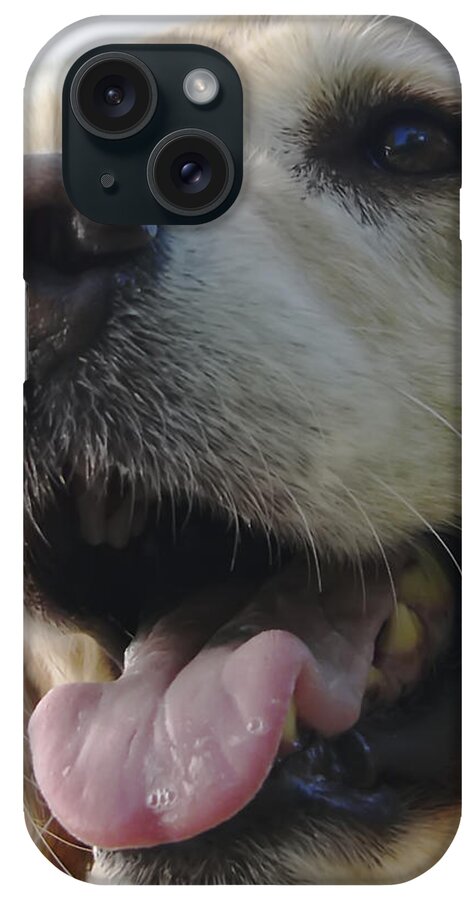 Animals iPhone Case featuring the photograph Morgie by Rhonda McDougall