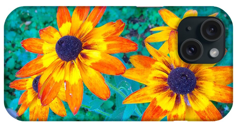 Flower iPhone Case featuring the photograph Moring greetings by Wonju Hulse