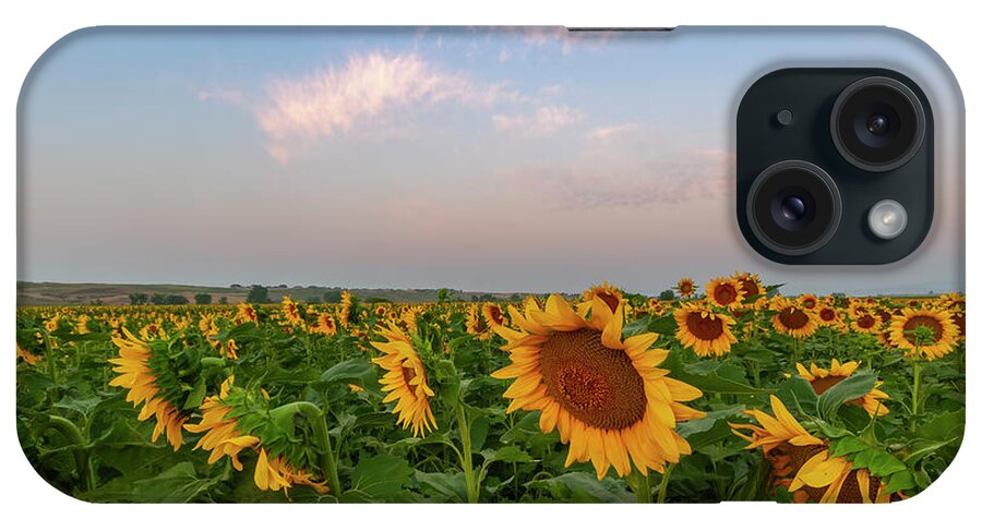 Sunflower iPhone Case featuring the photograph Morning along the Sunflower Fields by Ronda Kimbrow