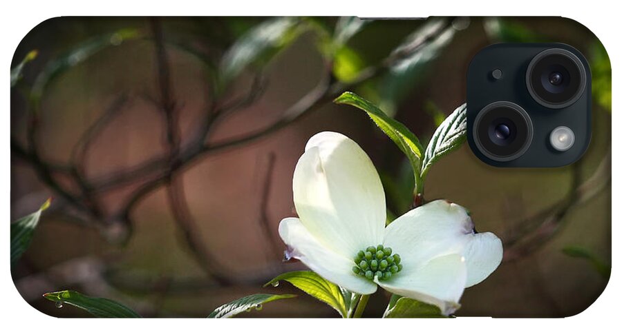 Dogwood iPhone Case featuring the photograph Morning Dogwood at Buffalo River Trail by Michael Dougherty