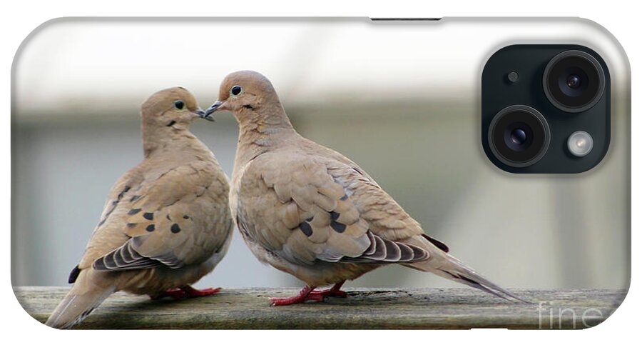 Morning Doves iPhone Case featuring the photograph Morning Doves in Love by Deb Schense
