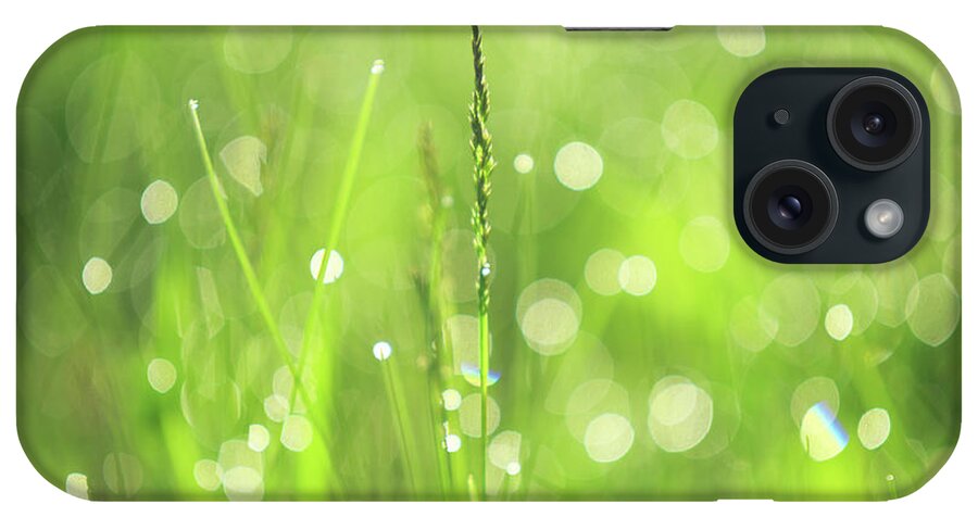 Jenny Rainbow Fine Art Photography iPhone Case featuring the photograph Morning Fairies. Green World by Jenny Rainbow