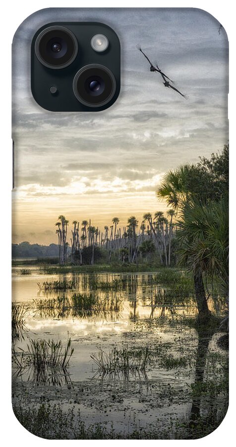 Crystal Yingling iPhone Case featuring the photograph Morning Fly-by by Ghostwinds Photography