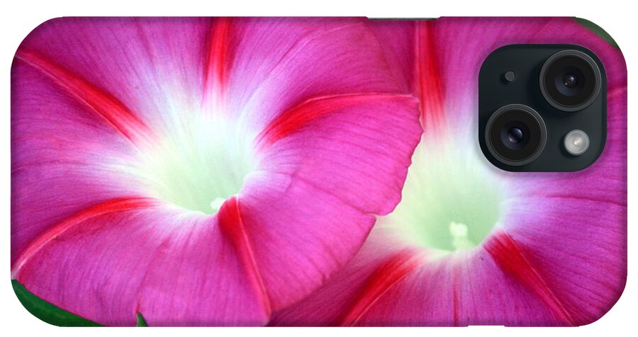 Nature iPhone Case featuring the photograph Morning Glories by Sheila Brown