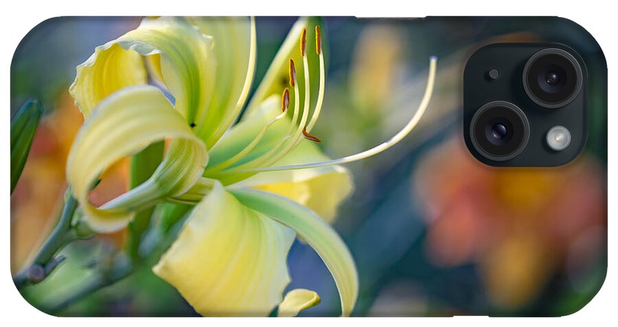 Daylily iPhone Case featuring the photograph Morning Light by Ches Black