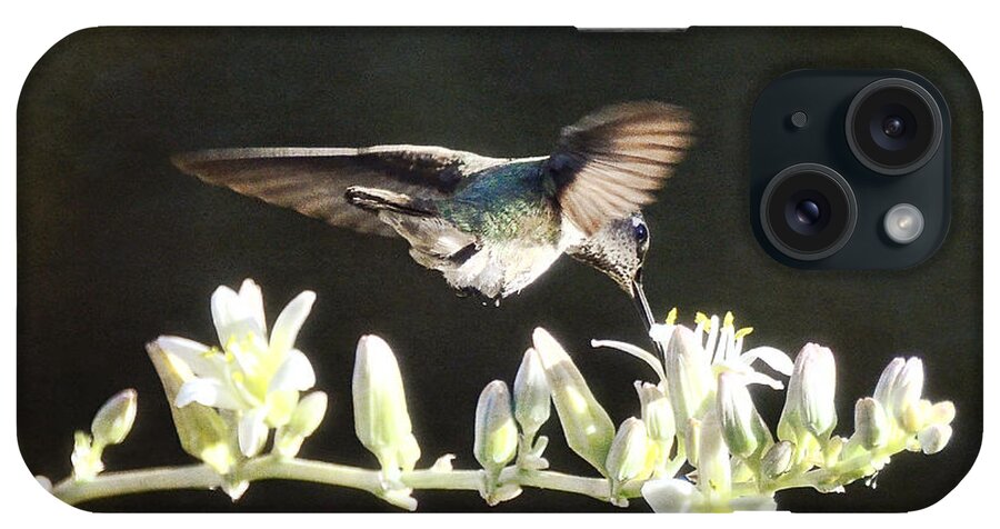 Hummingbirds iPhone Case featuring the photograph Morning Nectar Flyby by Saija Lehtonen