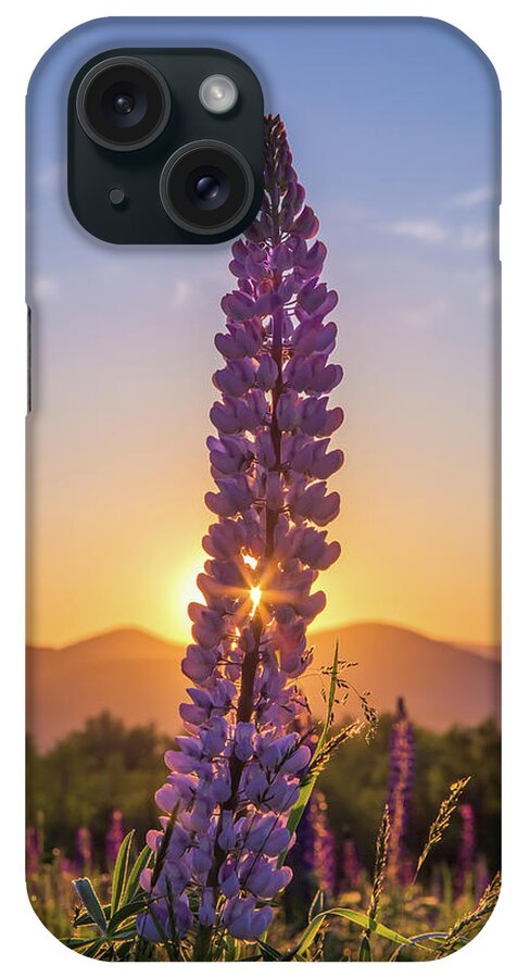 Morning iPhone Case featuring the photograph Morning on the Bloom by White Mountain Images
