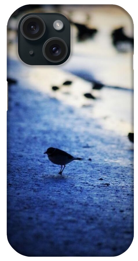 Bird iPhone Case featuring the photograph Morning by Stoney Lawrentz