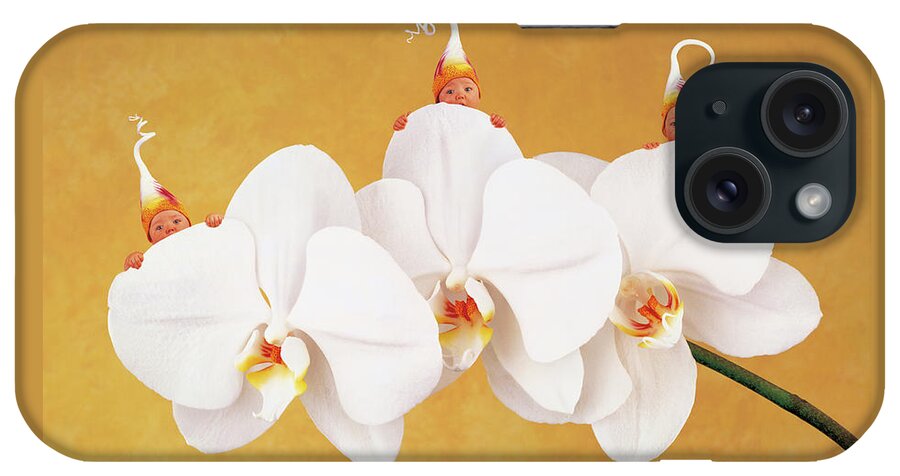 Triplets iPhone Case featuring the photograph Moth Orchid by Anne Geddes