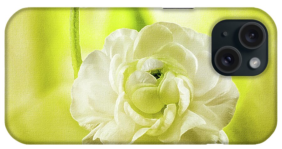 Mona Stut iPhone Case featuring the photograph Ranunculus Mother and Child Dreams by Mona Stut