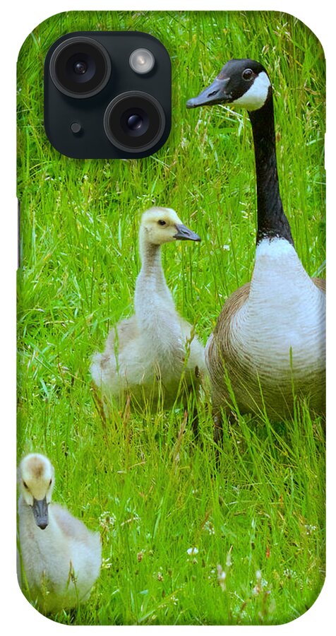 Photography iPhone Case featuring the photograph Mother Goose by Sean Griffin