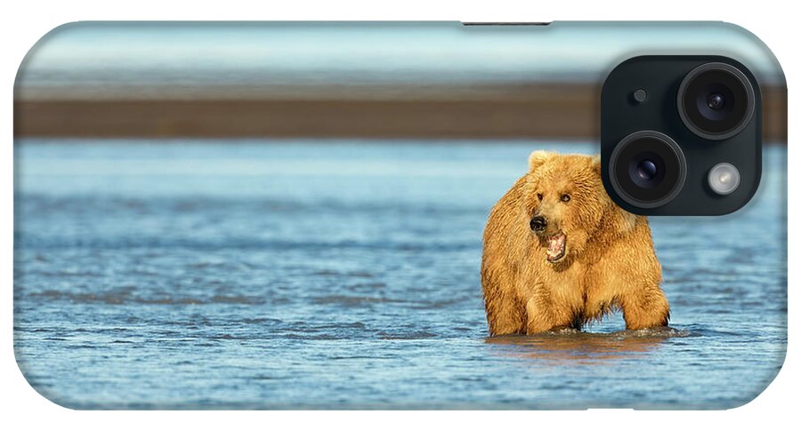 Grizzly Bear iPhone Case featuring the photograph Mother Grizzly Fishing by Mark Harrington