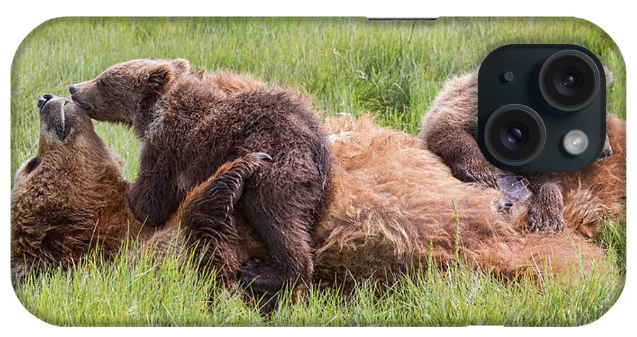 Grizzly Bears iPhone Case featuring the photograph Mother Grizzly Suckling Twin Cubs by Mark Harrington