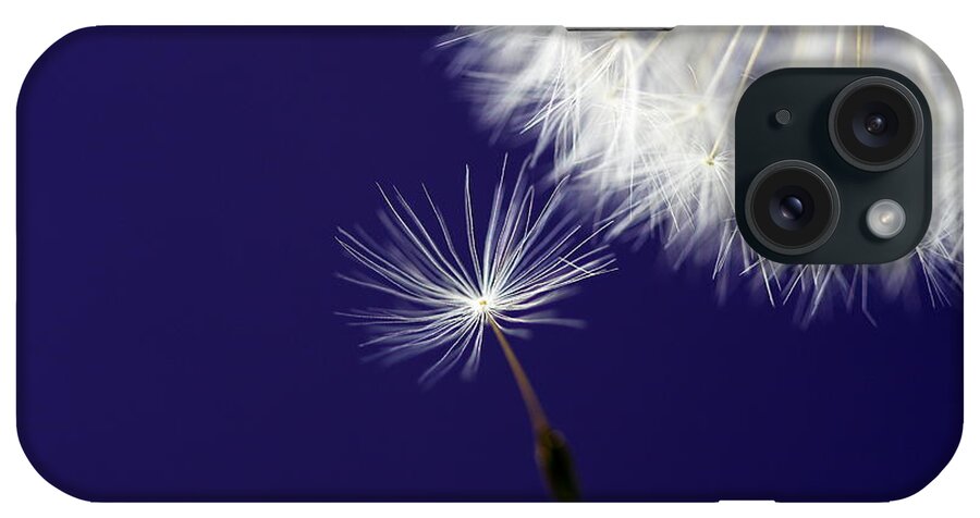 Dandelion iPhone Case featuring the photograph Mother Ship by Rebecca Cozart