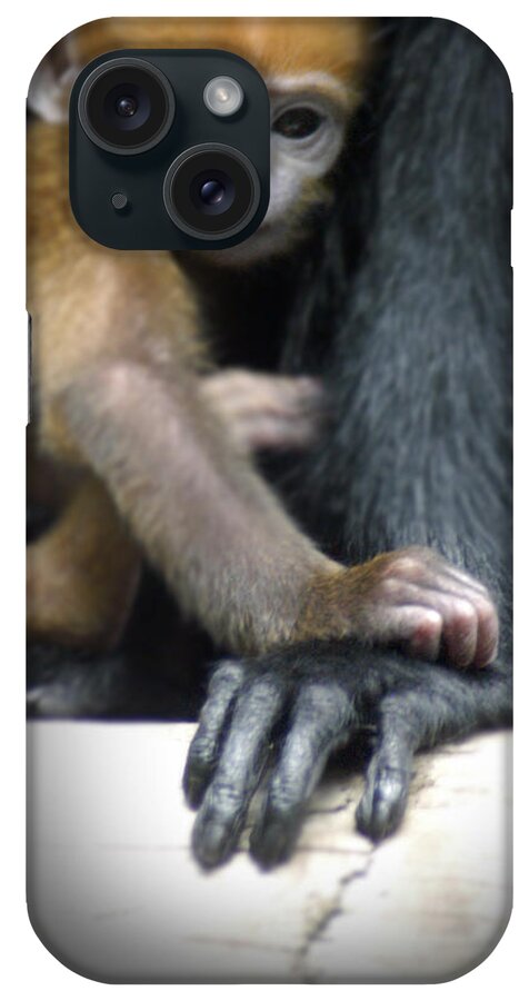 Baby iPhone Case featuring the photograph Motherhood - Primate by DArcy Evans