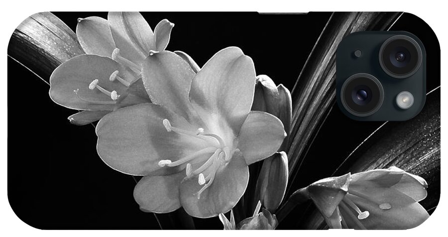 Lily Blossoms iPhone Case featuring the photograph Mother's Clivia Lily by Sandra Foster