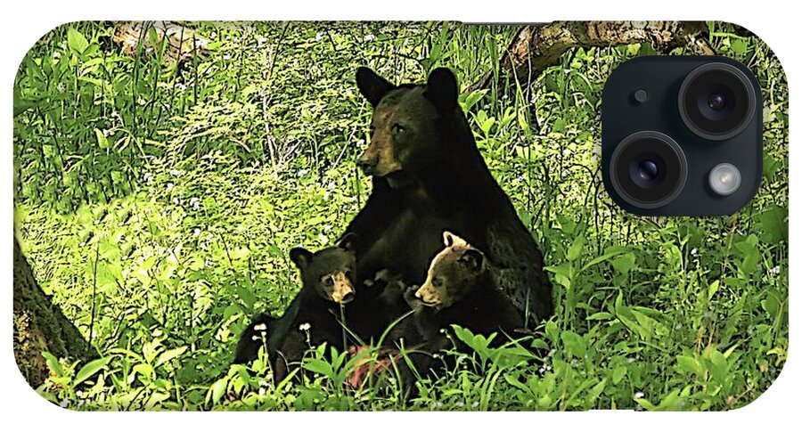 Bear iPhone Case featuring the photograph Mother's love by Geraldine DeBoer