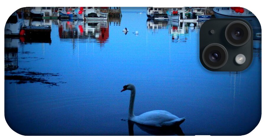 Swan iPhone Case featuring the photograph Motif #1 by Hanni Stoklosa