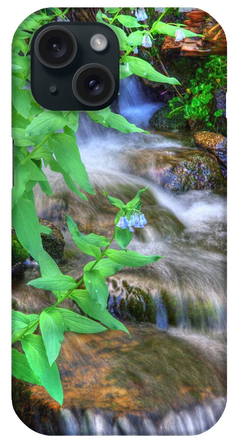 Mountain Bluebell iPhone Case featuring the photograph Mounain Bluebells by Douglas Pulsipher