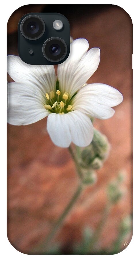 Alpine iPhone Case featuring the photograph Mountain Beauty by RC DeWinter