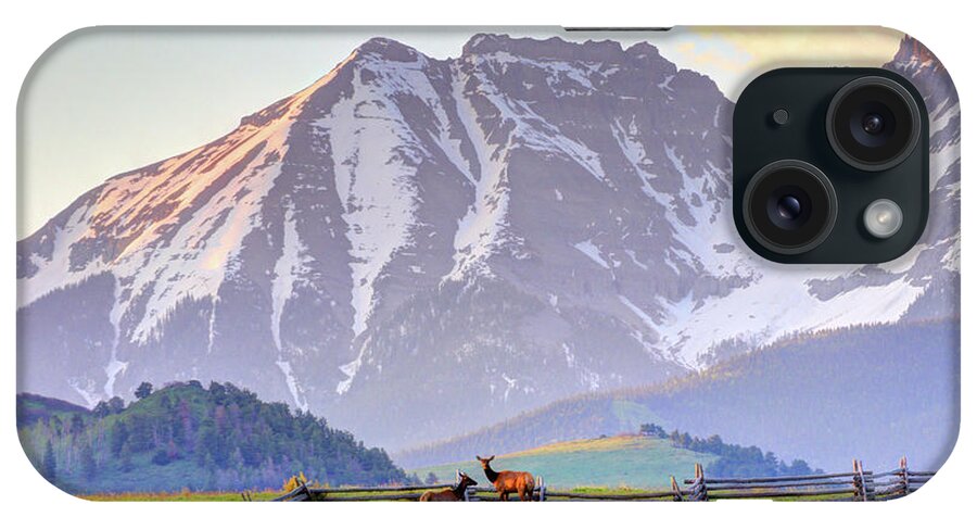 Elk iPhone Case featuring the photograph Mountain Elk by Scott Mahon