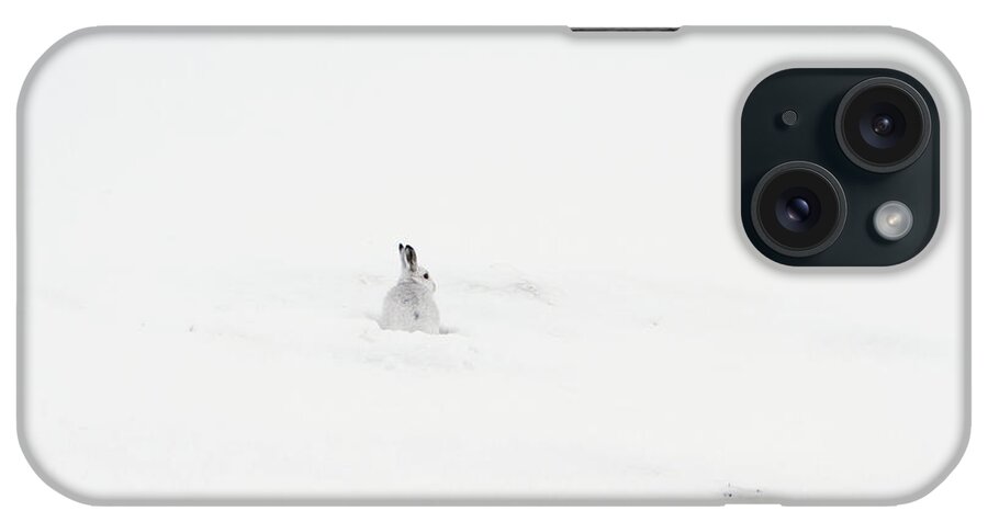 Mountain iPhone Case featuring the photograph Mountain Hare Small In Frame Left by Pete Walkden