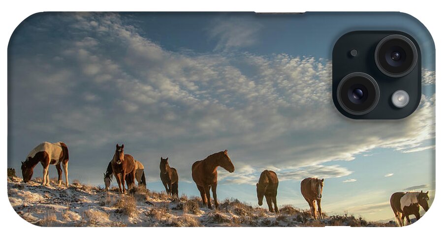 Horse iPhone Case featuring the photograph Mountain Light by Kent Keller