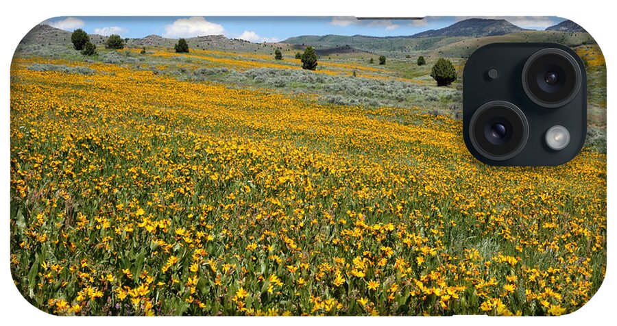 No People iPhone Case featuring the photograph Mountain Meadows of Yellow Wildflowers by Brett Pelletier