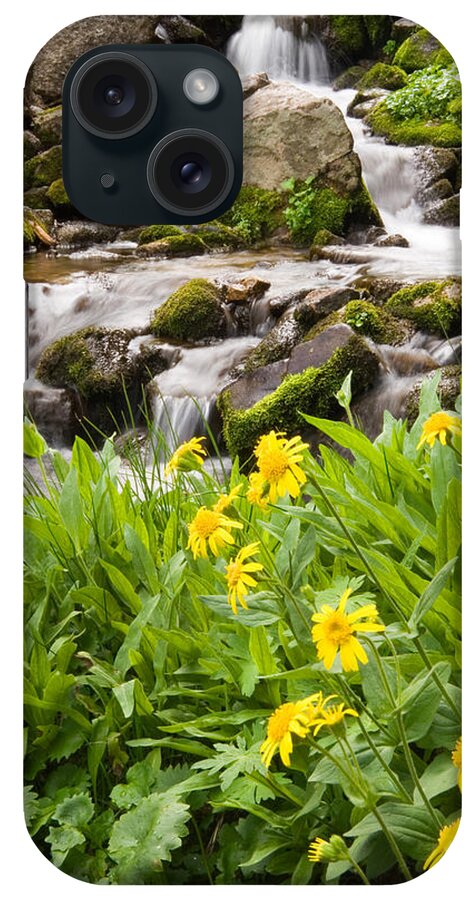 Water iPhone Case featuring the photograph Mountain Waterfall and Wildflowers by Douglas Pulsipher