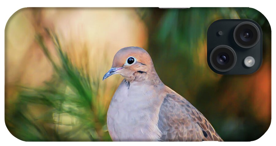 Dove iPhone Case featuring the photograph Mourning Dove Bathed in Autumn Light by Kerri Farley of New River Nature