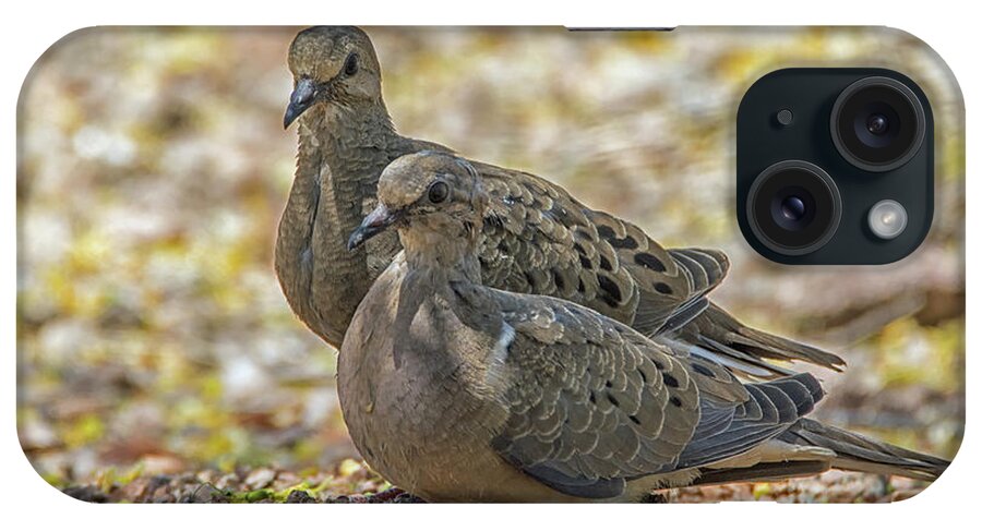 Mourning iPhone Case featuring the photograph Mourning Doves 6963-042318-1cr by Tam Ryan