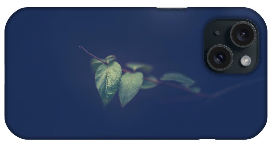 Nature iPhone Case featuring the photograph Moving In The Shadows by Shane Holsclaw