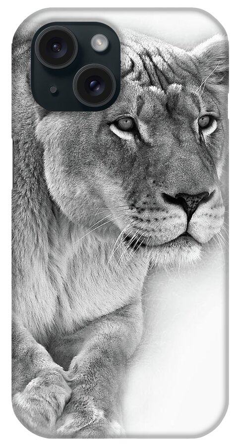 Lion iPhone Case featuring the photograph Moving In - Vignette bw by Steve Harrington