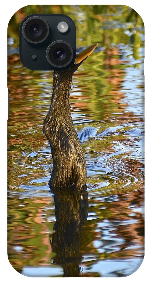 Anhinga iPhone Case featuring the photograph Moving On Down by Carol Bradley
