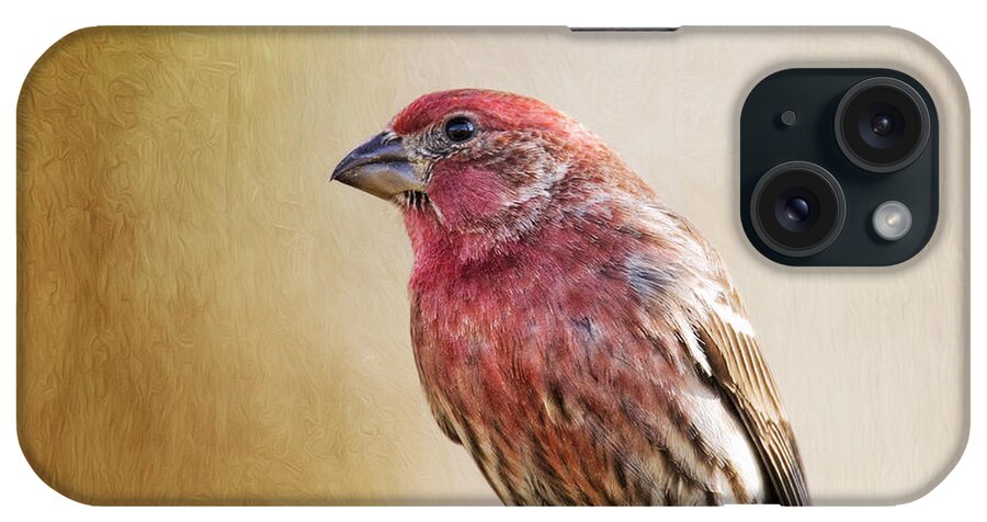 Carpodacus iPhone Case featuring the photograph Mr Finch Standing Tall by Bill and Linda Tiepelman