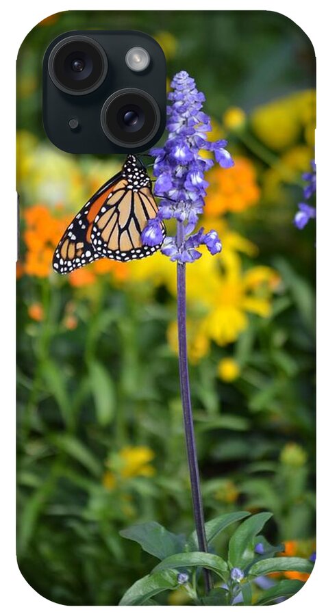 Butterfly iPhone Case featuring the photograph Mr. Patterson by Carolyn Mickulas