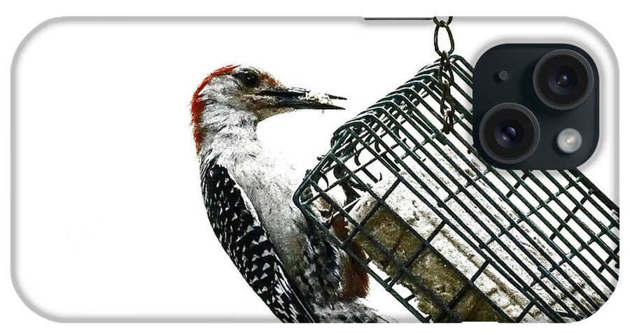 Photoshop iPhone Case featuring the photograph Mr. Woodpecker by Melissa Messick