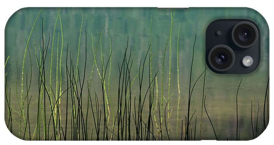 Mug iPhone Case featuring the photograph Mug - Lake grass by Inge Riis McDonald
