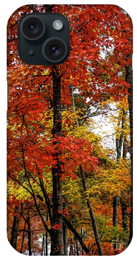 Fall iPhone Case featuring the photograph Multi-colored Leaves by Barbara Bowen