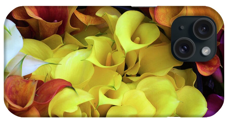 Backgrounds iPhone Case featuring the photograph Multicolored Calla Lillies by Bruce Block