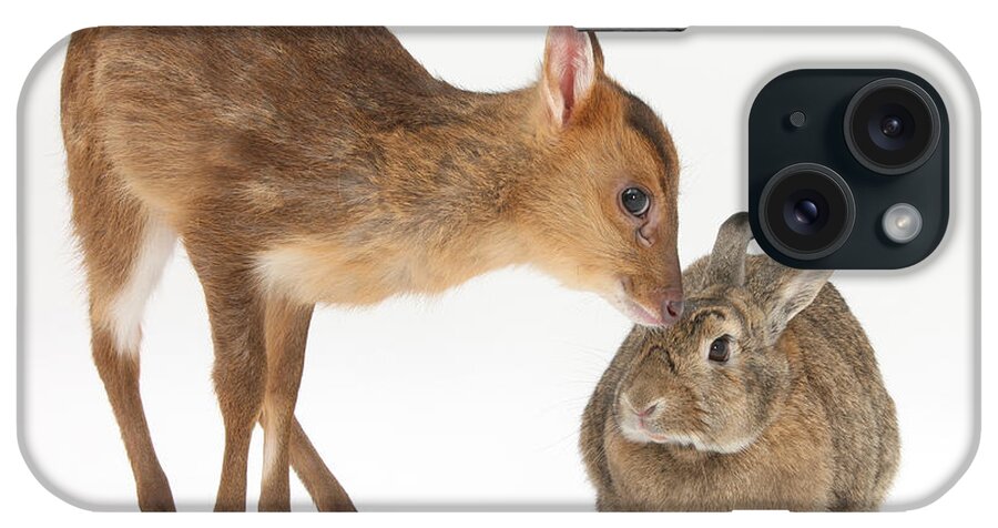 Nature iPhone Case featuring the photograph Muntjac Deer Fawn And Agouti Rabbit by Mark Taylor