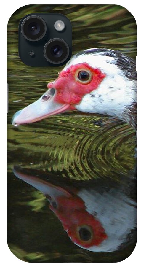 Duck iPhone Case featuring the photograph Muscovy Reflection by Carl Moore