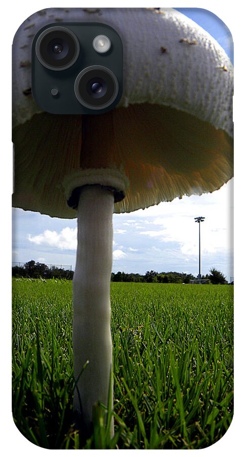 Mushroom iPhone Case featuring the photograph Mushroom 005 by Christopher Mercer