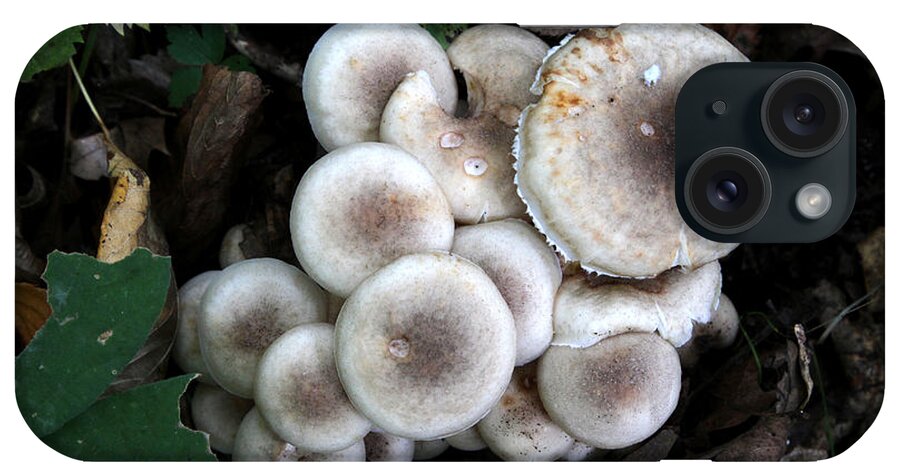 Mushrooms iPhone Case featuring the photograph Mushroom Cluster # 2 by Rick Rauzi